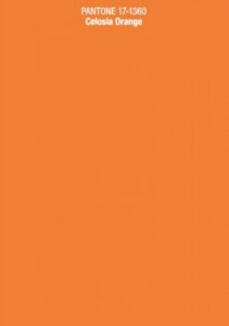 Pantone Celosia Orange