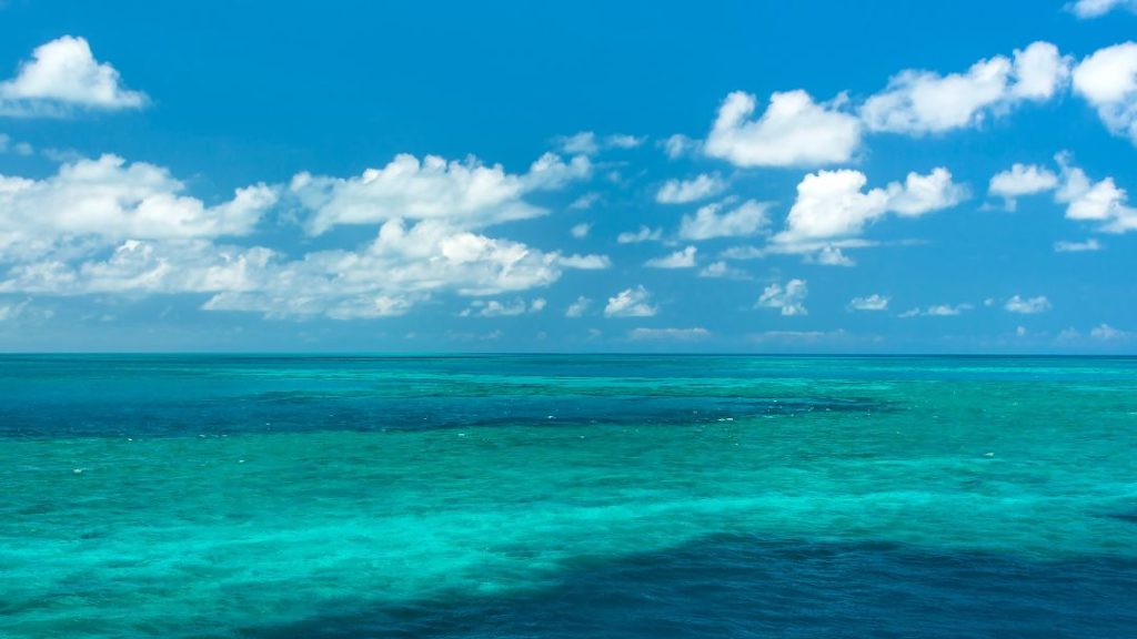 Great Barrier Reef turquoise colors