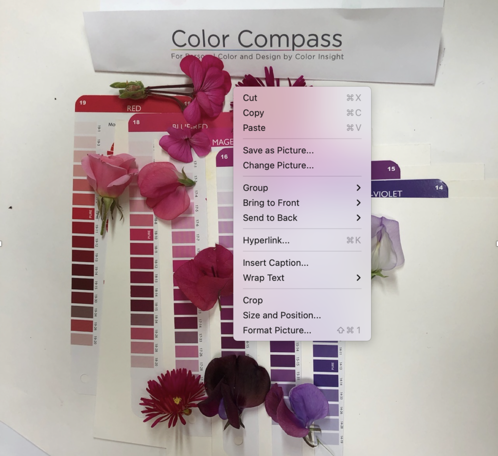 Purple color swatches